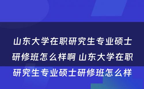 山东大学在职研究生专业硕士研修班怎么样啊 山东大学在职研究生专业硕士研修班怎么样