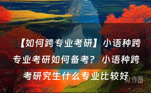 【如何跨专业考研】小语种跨专业考研如何备考？ 小语种跨考研究生什么专业比较好