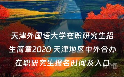 天津外国语大学在职研究生招生简章2020 天津地区中外合办在职研究生报名时间及入口