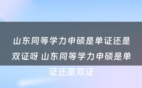 山东同等学力申硕是单证还是双证呀 山东同等学力申硕是单证还是双证