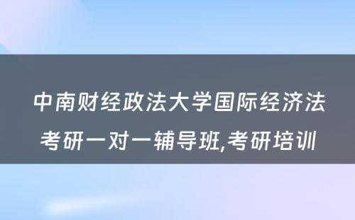 中南财经政法大学国际经济法考研一对一辅导班,考研培训