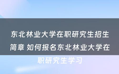 东北林业大学在职研究生招生简章 如何报名东北林业大学在职研究生学习