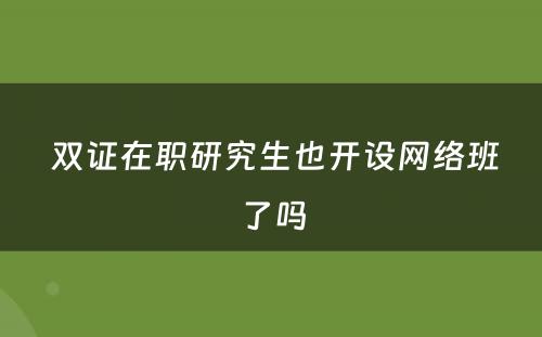  双证在职研究生也开设网络班了吗