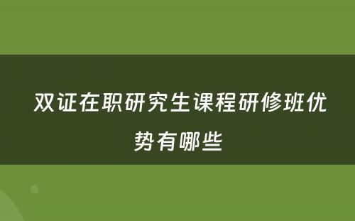  双证在职研究生课程研修班优势有哪些