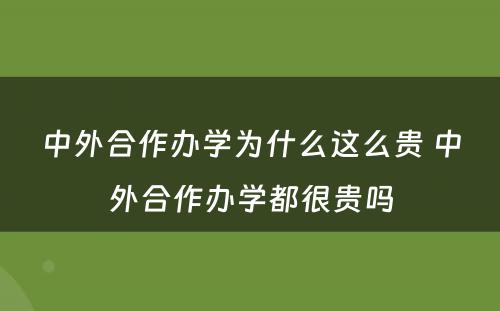 中外合作办学为什么这么贵 中外合作办学都很贵吗