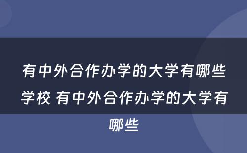 有中外合作办学的大学有哪些学校 有中外合作办学的大学有哪些