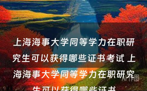 上海海事大学同等学力在职研究生可以获得哪些证书考试 上海海事大学同等学力在职研究生可以获得哪些证书