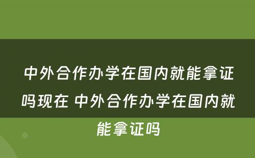 中外合作办学在国内就能拿证吗现在 中外合作办学在国内就能拿证吗