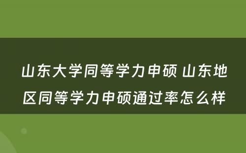 山东大学同等学力申硕 山东地区同等学力申硕通过率怎么样