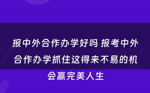 报中外合作办学好吗 报考中外合作办学抓住这得来不易的机会赢完美人生