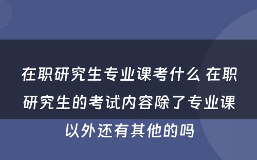 在职研究生专业课考什么 在职研究生的考试内容除了专业课以外还有其他的吗