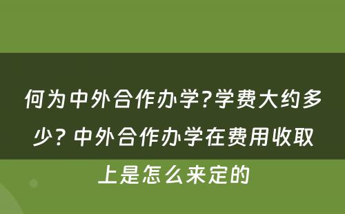 何为中外合作办学?学费大约多少? 中外合作办学在费用收取上是怎么来定的