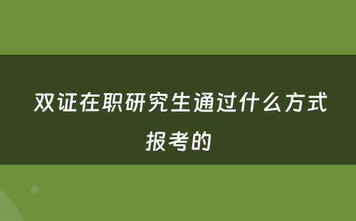  双证在职研究生通过什么方式报考的