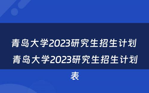 青岛大学2023研究生招生计划 青岛大学2023研究生招生计划表