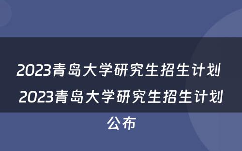 2023青岛大学研究生招生计划 2023青岛大学研究生招生计划公布