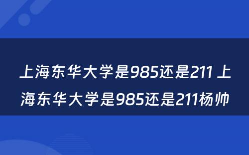 上海东华大学是985还是211 上海东华大学是985还是211杨帅