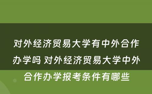 对外经济贸易大学有中外合作办学吗 对外经济贸易大学中外合作办学报考条件有哪些