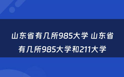 山东省有几所985大学 山东省有几所985大学和211大学