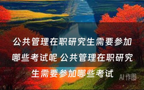 公共管理在职研究生需要参加哪些考试呢 公共管理在职研究生需要参加哪些考试