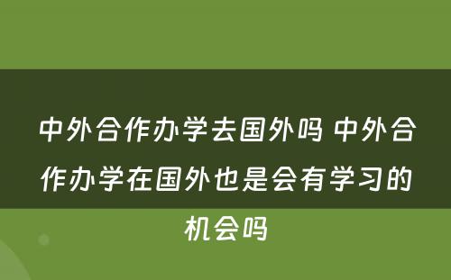 中外合作办学去国外吗 中外合作办学在国外也是会有学习的机会吗