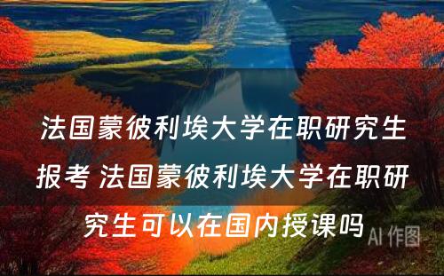 法国蒙彼利埃大学在职研究生报考 法国蒙彼利埃大学在职研究生可以在国内授课吗