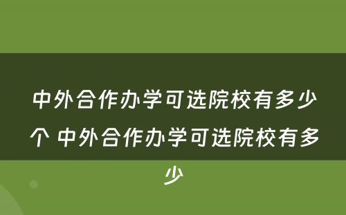 中外合作办学可选院校有多少个 中外合作办学可选院校有多少