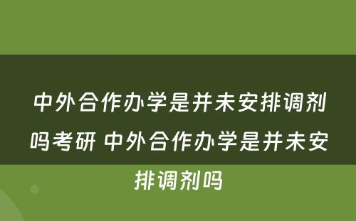 中外合作办学是并未安排调剂吗考研 中外合作办学是并未安排调剂吗