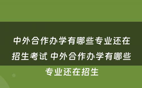 中外合作办学有哪些专业还在招生考试 中外合作办学有哪些专业还在招生