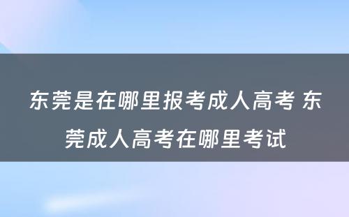 东莞是在哪里报考成人高考 东莞成人高考在哪里考试