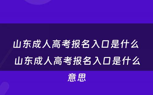 山东成人高考报名入口是什么 山东成人高考报名入口是什么意思