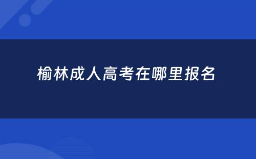 榆林成人高考在哪里报名 