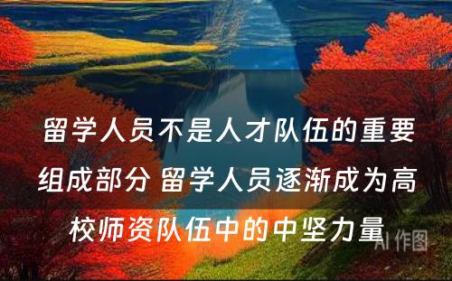 留学人员不是人才队伍的重要组成部分 留学人员逐渐成为高校师资队伍中的中坚力量