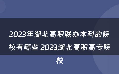 2023年湖北高职联办本科的院校有哪些 2023湖北高职高专院校