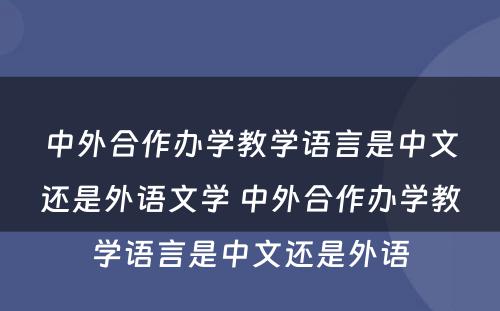 中外合作办学教学语言是中文还是外语文学 中外合作办学教学语言是中文还是外语