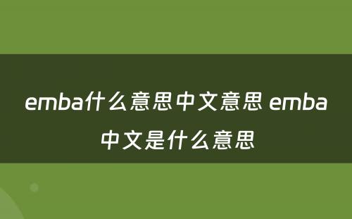 emba什么意思中文意思 emba中文是什么意思