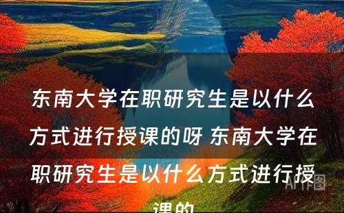 东南大学在职研究生是以什么方式进行授课的呀 东南大学在职研究生是以什么方式进行授课的