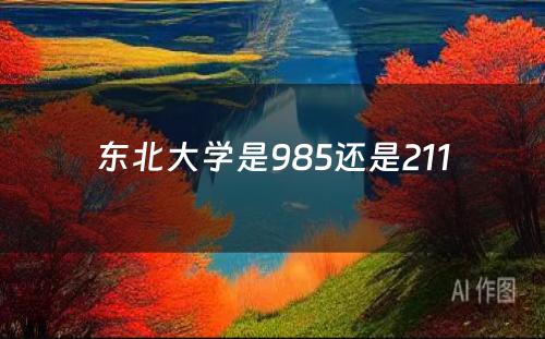 东北大学是985还是211