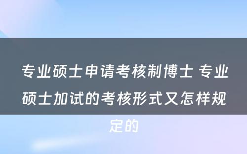 专业硕士申请考核制博士 专业硕士加试的考核形式又怎样规定的