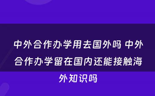 中外合作办学用去国外吗 中外合作办学留在国内还能接触海外知识吗