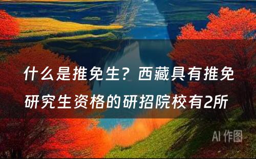 什么是推免生？西藏具有推免研究生资格的研招院校有2所 