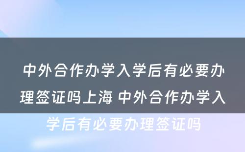 中外合作办学入学后有必要办理签证吗上海 中外合作办学入学后有必要办理签证吗