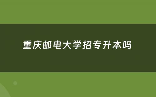 重庆邮电大学招专升本吗 
