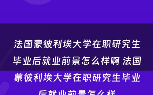 法国蒙彼利埃大学在职研究生毕业后就业前景怎么样啊 法国蒙彼利埃大学在职研究生毕业后就业前景怎么样