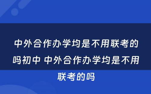 中外合作办学均是不用联考的吗初中 中外合作办学均是不用联考的吗