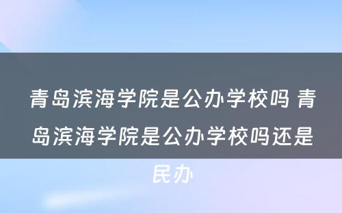 青岛滨海学院是公办学校吗 青岛滨海学院是公办学校吗还是民办