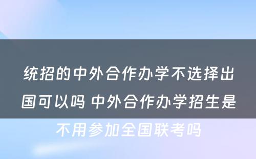 统招的中外合作办学不选择出国可以吗 中外合作办学招生是不用参加全国联考吗