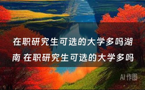 在职研究生可选的大学多吗湖南 在职研究生可选的大学多吗