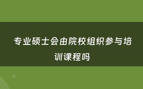  专业硕士会由院校组织参与培训课程吗