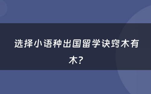  选择小语种出国留学诀窍木有木？