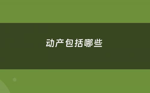 动产包括哪些 
